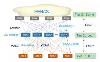 互聯網公司大型數據中心BGP路由協議規劃與數據服務優化